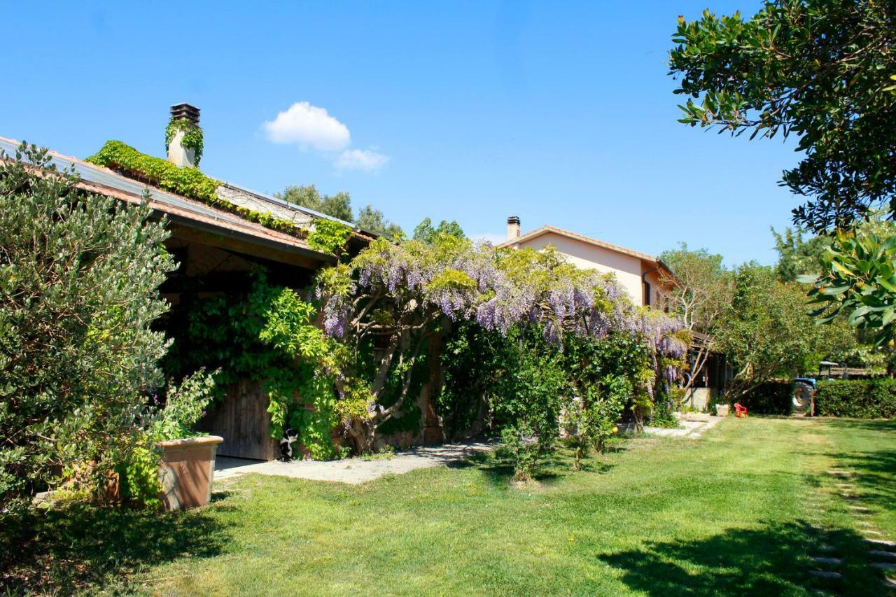 Agriturist Prile Villa Castiglione della Pescaia Ngoại thất bức ảnh